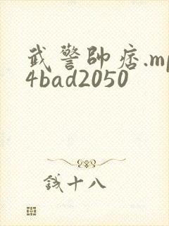 武警帅痞.mp4bad2050