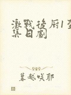 激战后厨1至5集日剧