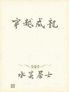 穿越成龙