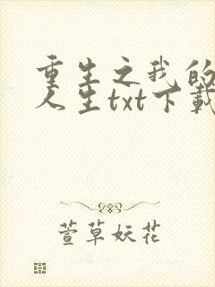 重生之我的书记人生txt下载