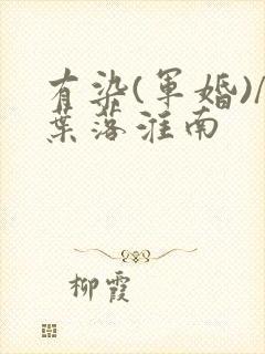 有染(军婚)/叶落淮南
