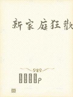 新家庭狂欢小说