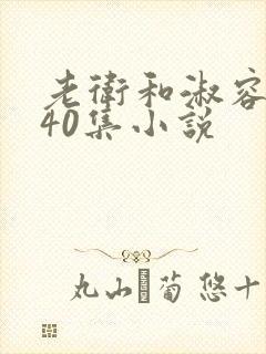 老卫和淑容1-40集小说