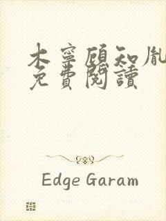 木宁顾知胤小说免费阅读