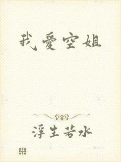 我爱空姐