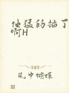 他猛的插了进去啊H