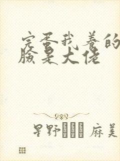 完蛋我养的小白脸是大佬