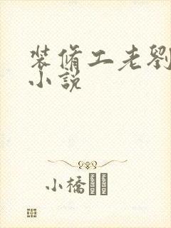 装修工老刘林雪小说