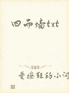 四面墙txt