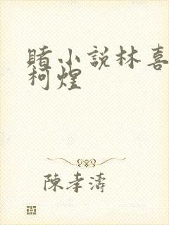 赌小说林喜朝和柯煜