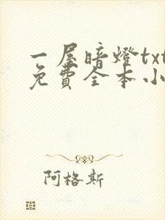 一屋暗灯txt免费全本小说电子书