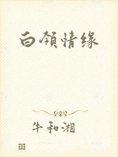 白领情缘