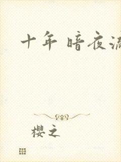 十年 暗夜流光
