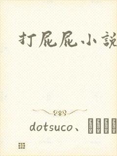 打屁屁小说