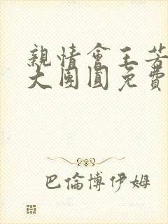 亲情会王芳高敏大团圆免费阅读