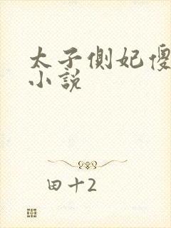 太子侧妃傻乎乎小说