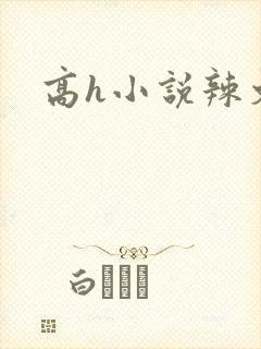 高h小说辣文