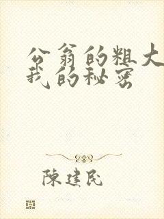 公翁的粗大放进我的秘密