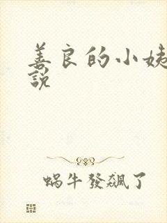 善良的小姨子小说