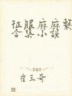 征服麻麻系列大合集小说