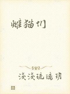 雌猫们