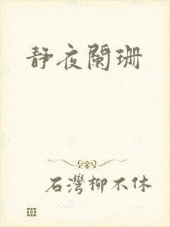 静夜阑珊