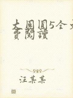 大团圆5全文免费阅读