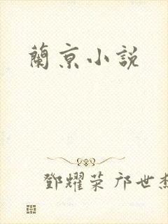 兰京小说