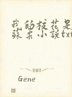 我的校花是福姬苏柔小说txt