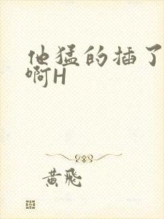 他猛的插了进去啊H