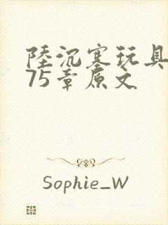 陆沉塞玩具高速75章原文