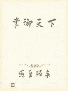 掌御天下