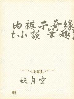 内裤子奇缘txt小说 笔趣阁