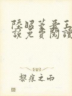 陆昭菱晋王的小说免费阅读