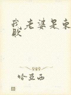 我老婆是东方不败