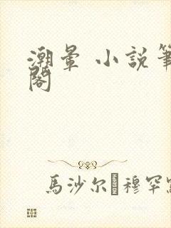 潮晕 小说笔趣阁