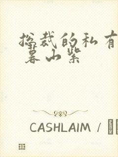 总裁的私有宝贝 暮山紫