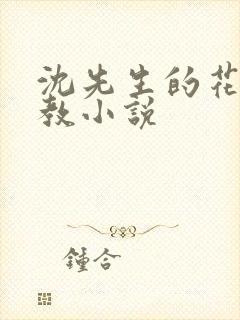 沈先生的花式管教小说