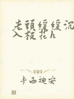 老头缓缓沉腰进入校花h