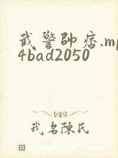 武警帅痞.mp4bad2050