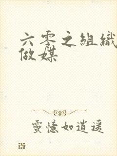 六零之组织给我做媒