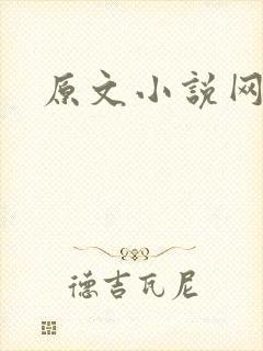 原文小说网
