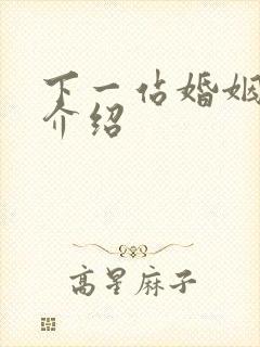 下一站婚姻剧情介绍