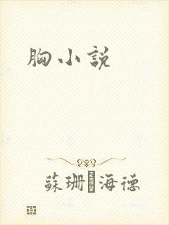 胸小说