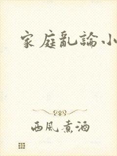 家庭乱论小说