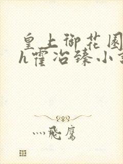 皇上御花园hlh霍冶臻小说