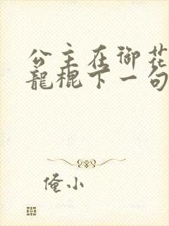 公主在御花园吃龙棍下一句