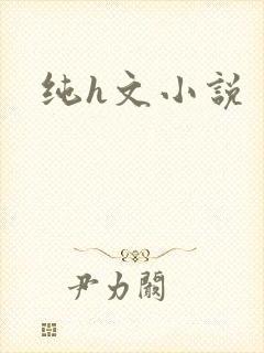 纯h文小说