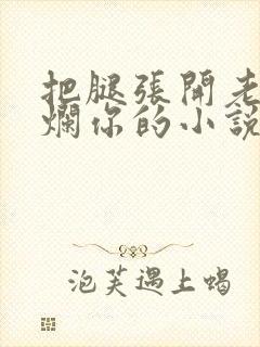 把腿张开老子臊烂你的小说