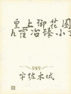 皇上御花园hlh霍冶臻小说